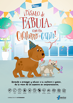 Campaña Cachorro
