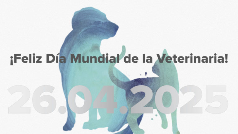 DMV2025_destacada