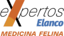 expertosMedicinaFelina expertosMedicinaFelina