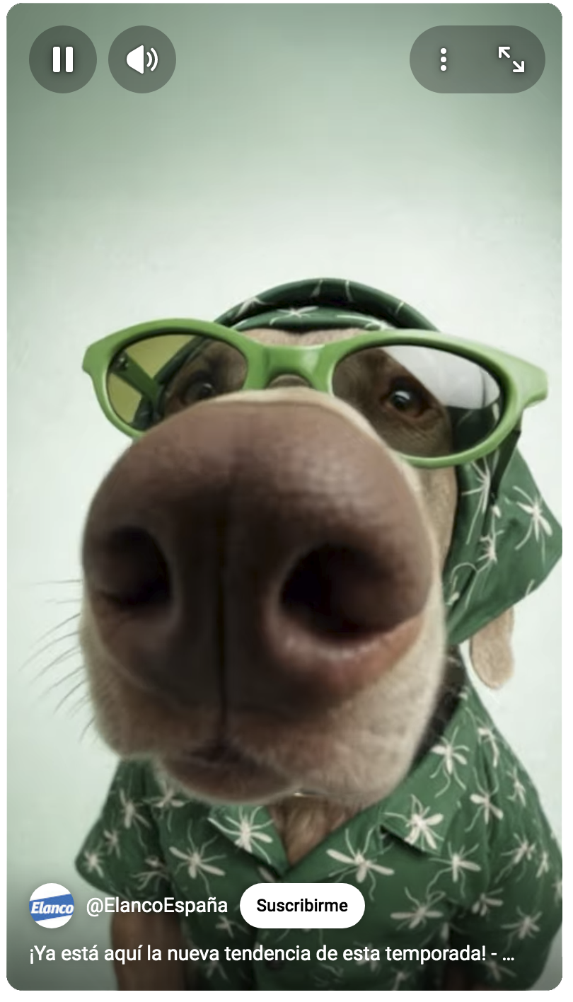 _imagen-RedCarPET_video