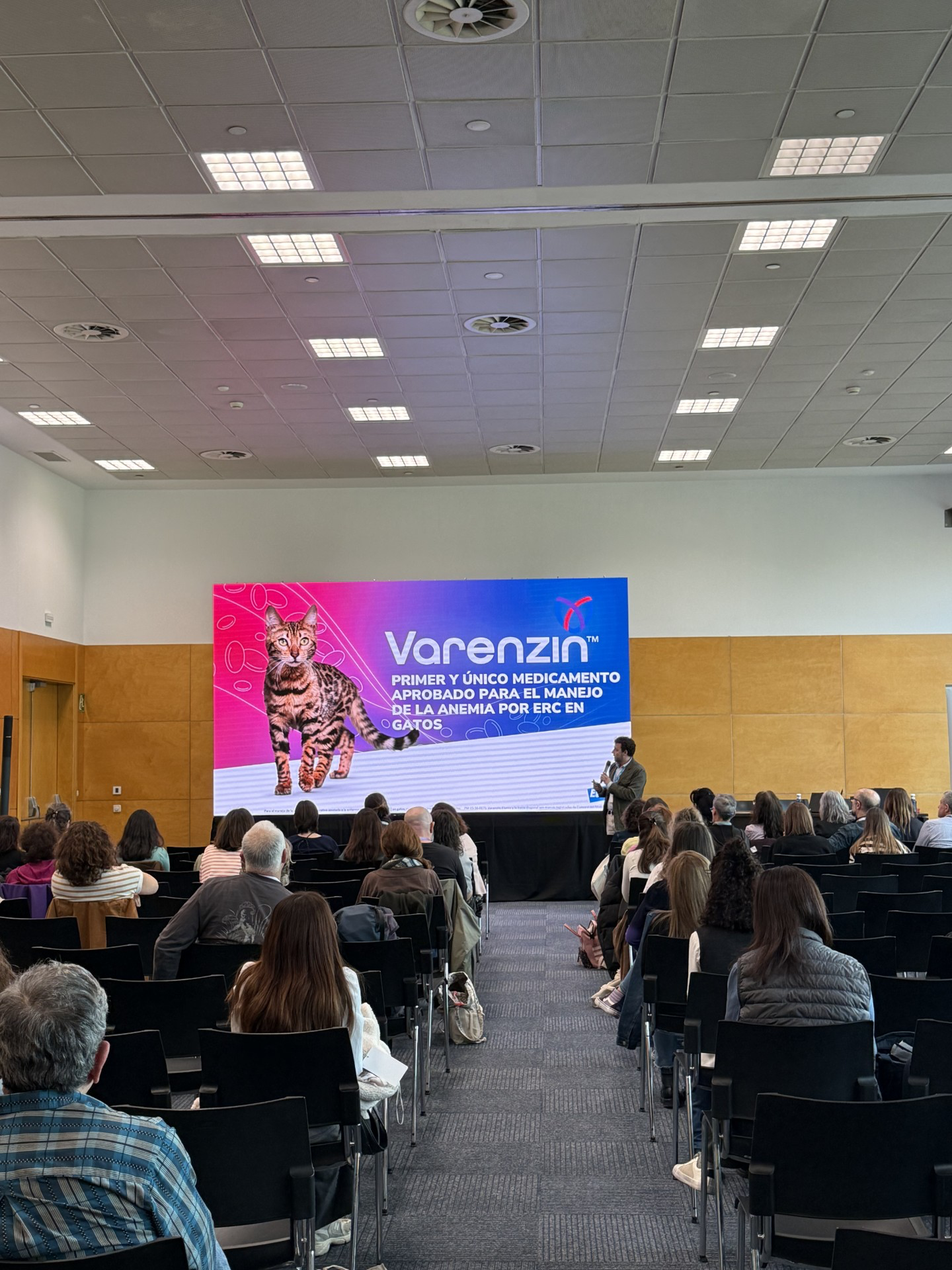 Presentación Vetcats